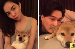 狗怀孕能喝鸡汤吗合适吗