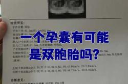 两个卵子能怀孕吗