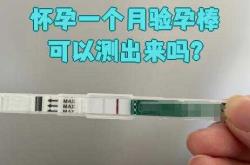 同房二天能测出怀孕吗