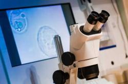 试管婴儿要花多少钱