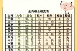 属蛇女孩今年适合备孕吗