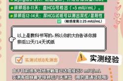 怀孕最早什么时候能查出来