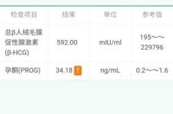 孕4周多就孕反正常吗