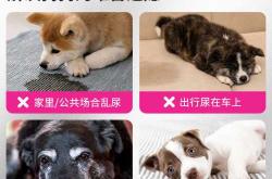 纸尿裤尿显是什么