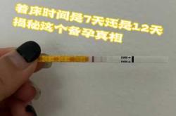 备孕前抗体检测是什么