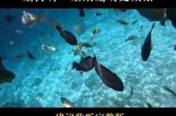 胎教怎么听有什么方法