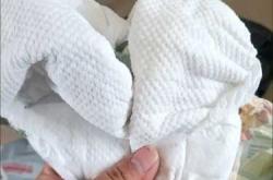 盛夏光年拉拉裤全系列如何