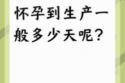 刚怀孕能查出天数吗