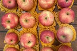 备孕吃什么苹果最好