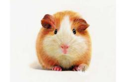 婴儿彩铅适合多大宝宝用