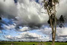 霉菌对新生儿有什么影响