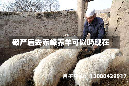 破产后去赤峰养羊可以吗现在