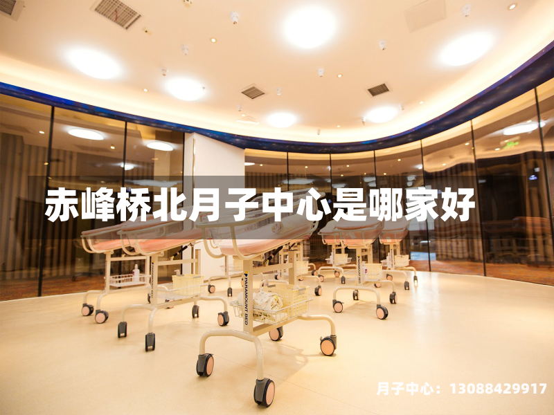赤峰桥北月子中心是哪家好