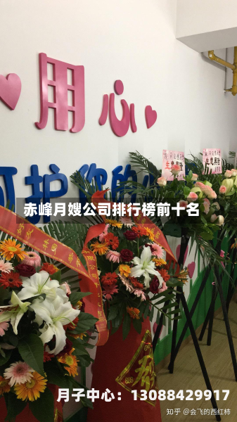 赤峰月嫂公司排行榜前十名