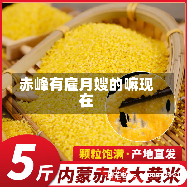赤峰有雇月嫂的嘛现在