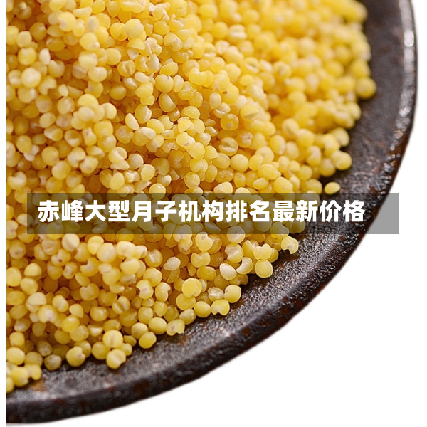 赤峰大型月子机构排名最新价格