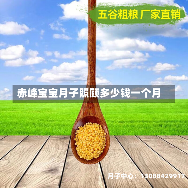 赤峰宝宝月子照顾多少钱一个月