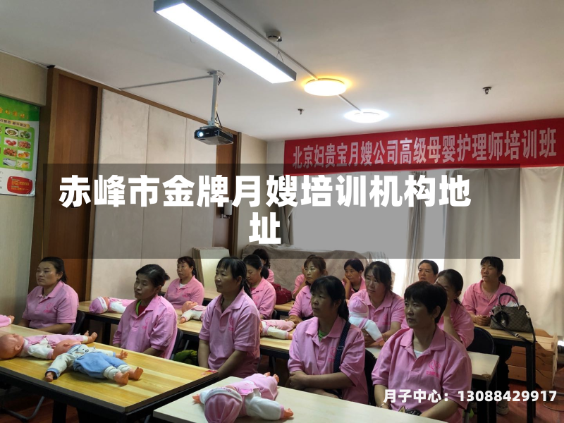 赤峰市金牌月嫂培训机构地址
