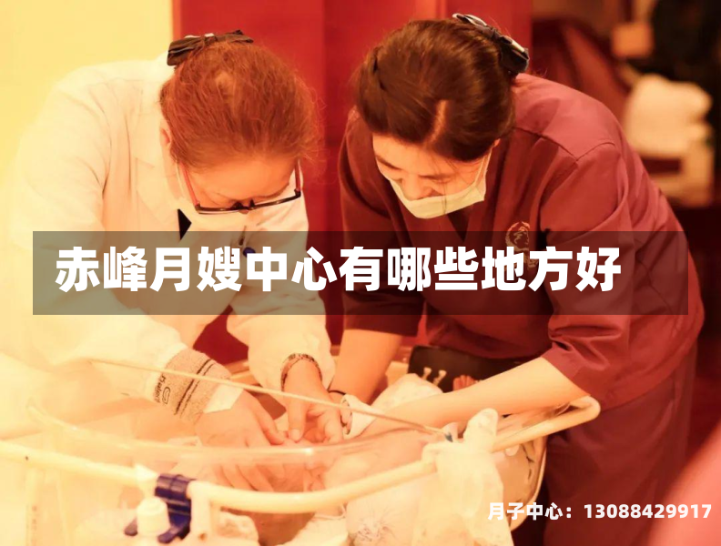 赤峰月嫂中心有哪些地方好