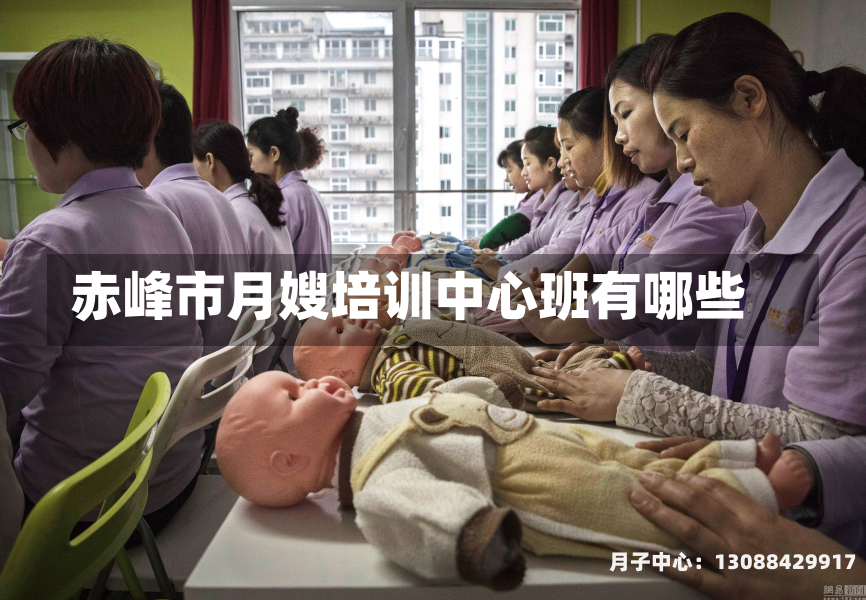 赤峰市月嫂培训中心班有哪些