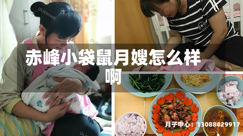 赤峰小袋鼠月嫂怎么样啊