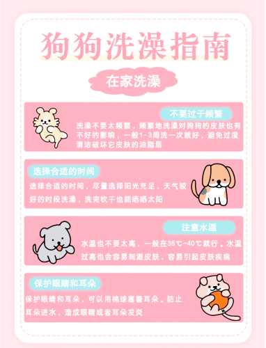狗狗怀孕40天能洗澡吗-第1张图片