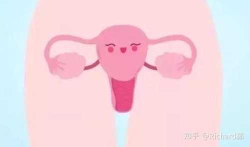 女性备孕必备软件知乎有哪些-第1张图片
