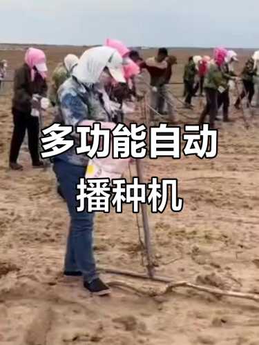 播种网孕反怎么办-第1张图片