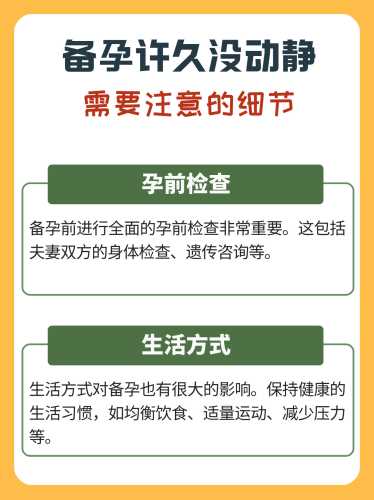 为什么说要备孕不要怀孕-第1张图片