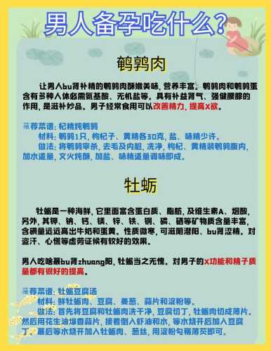 备孕男人中午适合吃什么-第1张图片