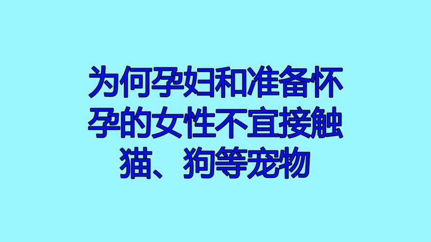 备孕中梦到狗有什么说法吗-第1张图片