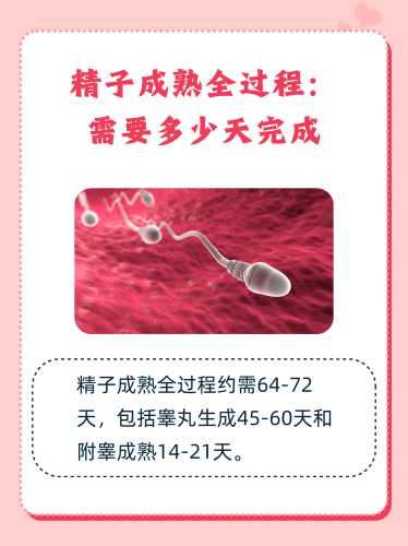 备孕同房后精子要放里面吗-第1张图片
