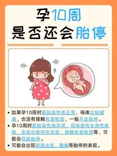 孕6周孕反停止正常吗-第1张图片