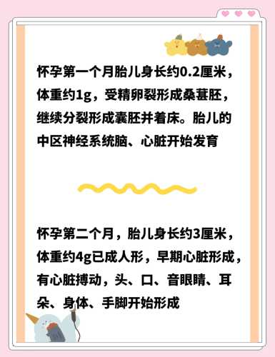 九个月婴儿发育标准是什么-第1张图片