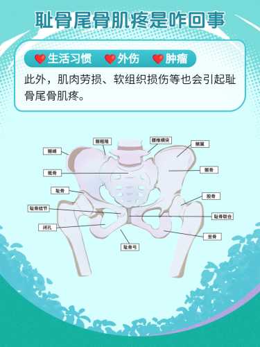 产后尾骨疼多久能恢复-第1张图片