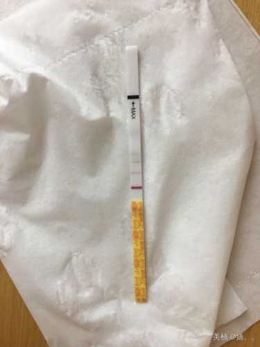 备孕的人梦见两只小虫啥意思-第1张图片