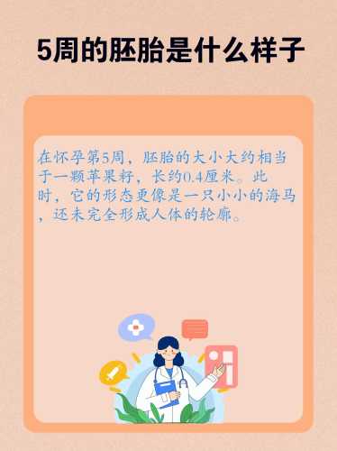 我要备孕第四胎了要注意啥-第1张图片
