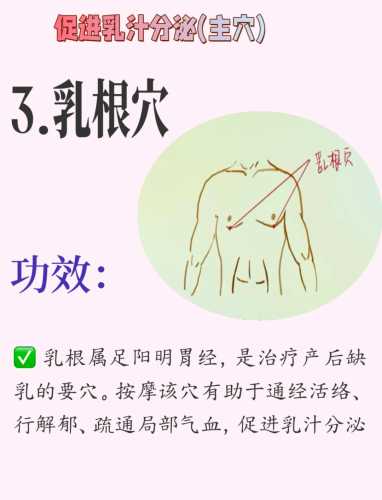 孕妇产后如何有效下奶-第1张图片