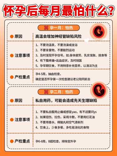 宝宝胎教何时开始-第1张图片