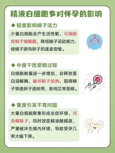 什么检查对备孕有影响-第1张图片