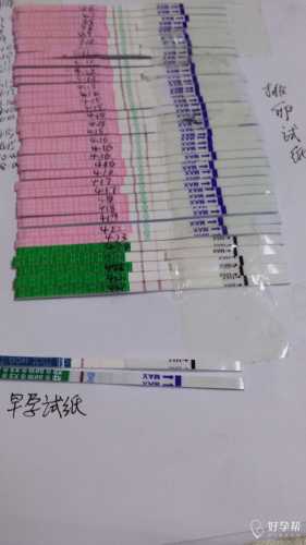 备孕下腹部疼多久算正常-第1张图片