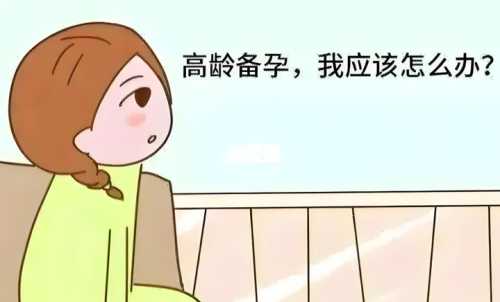 如何漫画版看备孕正确方式-第1张图片