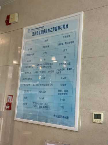 孕13周孕反减少正常吗-第1张图片