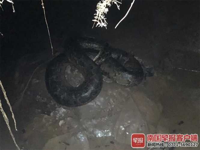 备孕梦见三条黑色大蟒蛇何意-第1张图片