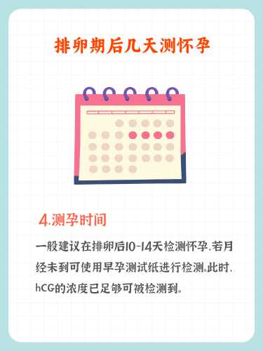 怀孕最快几天能查出-第1张图片