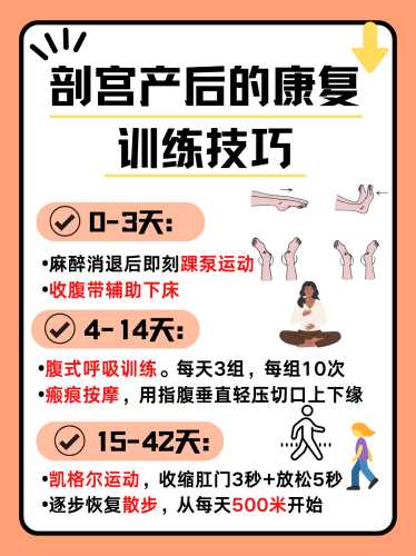 产后肚器官如何恢复-第1张图片