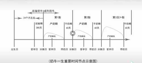 二胎顺产后多久能有奶-第1张图片