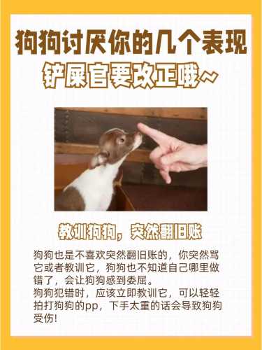 小狗和婴儿相处要注意什么-第1张图片