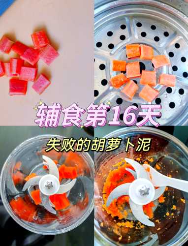辅食胡萝卜水怎么做-第1张图片