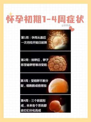 一个星期能测出怀孕吗-第1张图片